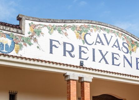 Freixenet winery