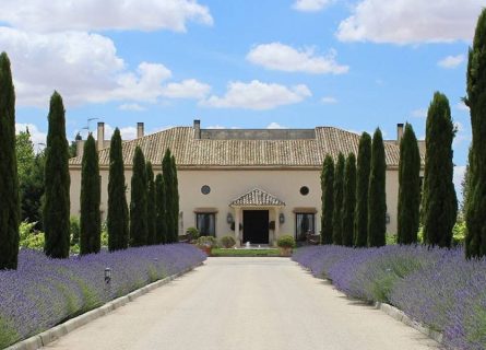 Martúe Winery