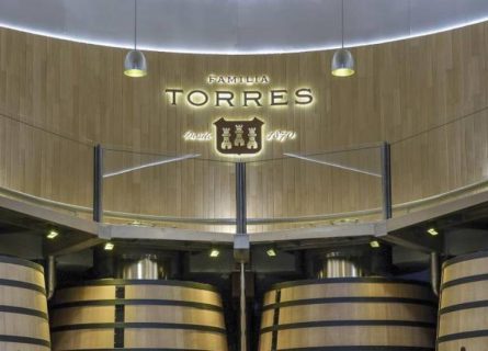 miguel torres winery