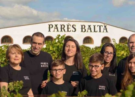 wineries - pares balta family