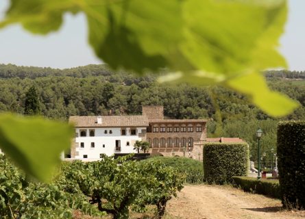 segura viudas winery