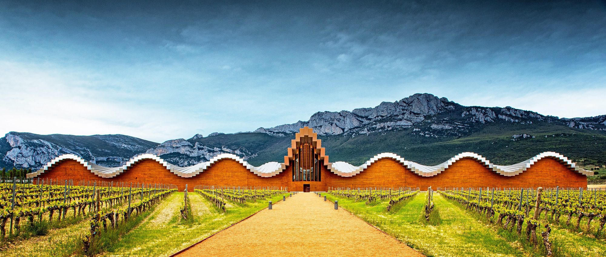 Spanish Wineries for Wine Enthusiasts Cellar Tours™
