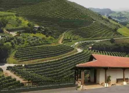talai berri winery
